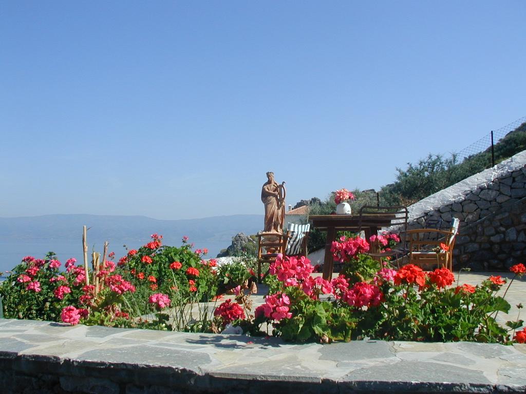 Hydra Erato Villa Cameră foto