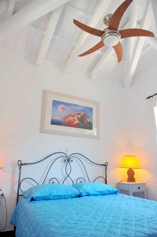 Hydra Erato Villa Cameră foto